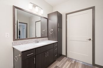 Built-in cabinets/storage